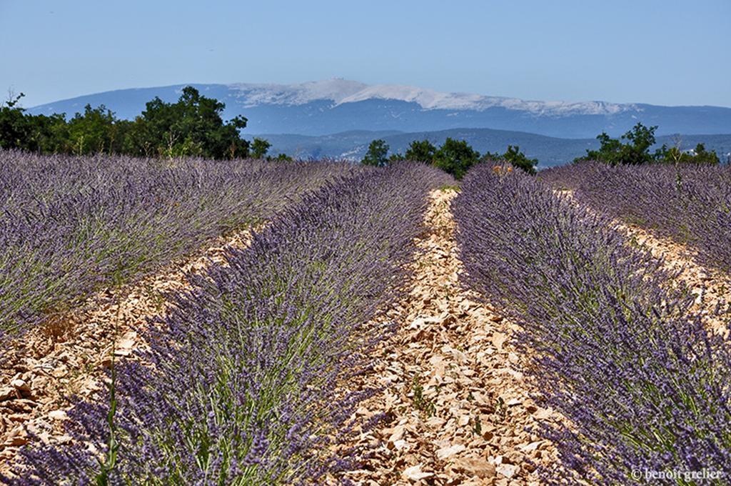 Domaine Les Chenes Blancs Hotel Saint-Saturnin-d'Apt Buitenkant foto